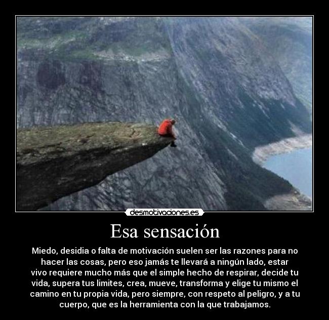 carteles miedo esa sensacion desmotivaciones