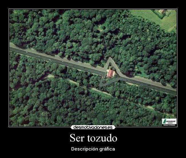 Ser tozudo - 