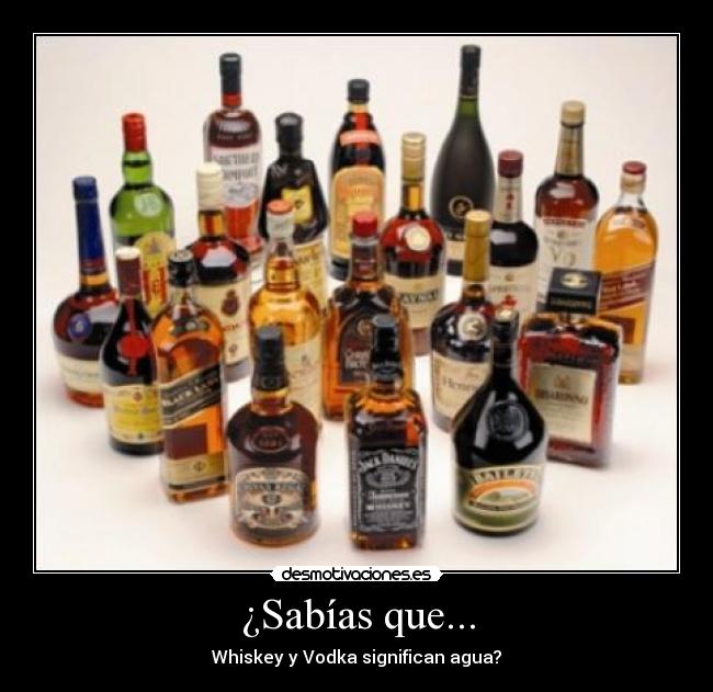 ¿Sabías que... - Whiskey y Vodka significan agua?