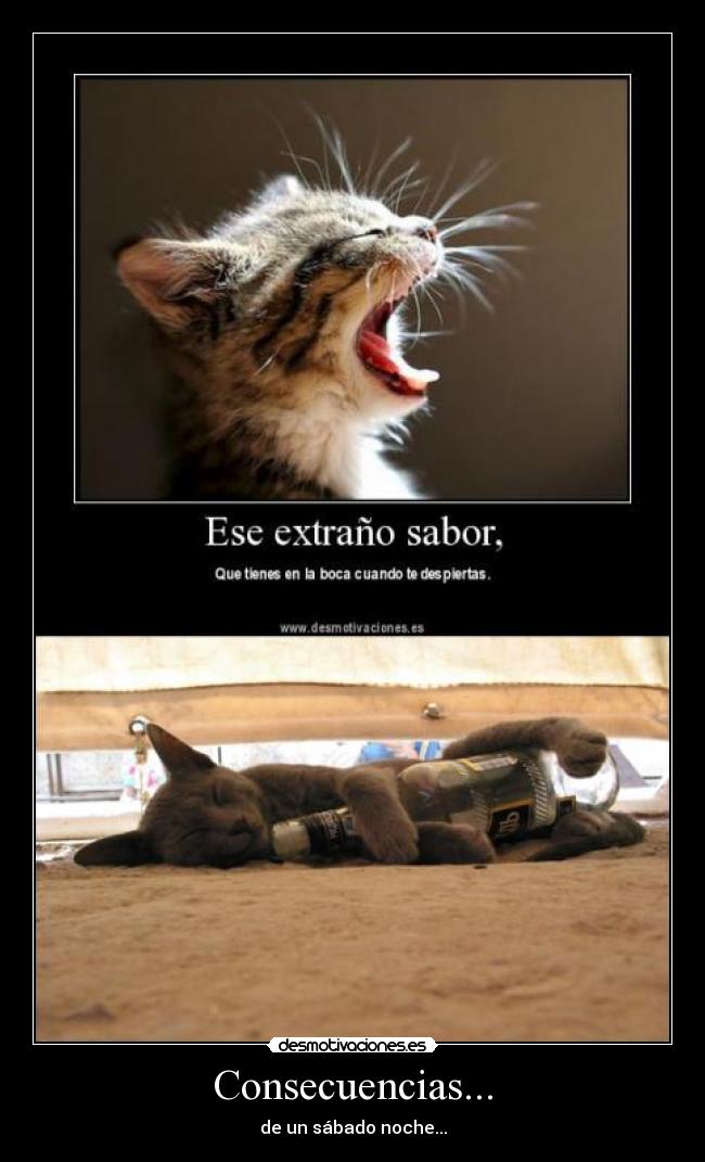 Consecuencias... - 