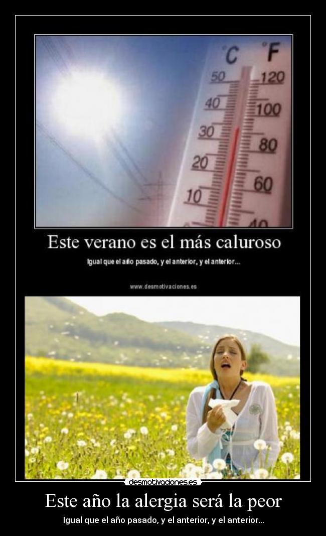 carteles alergia primavera flores ano desmotivaciones