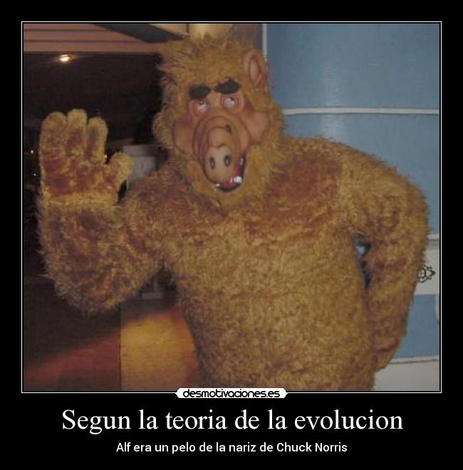 Segun la teoria de la evolucion -