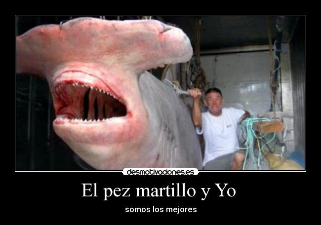 El pez martillo y Yo  - 