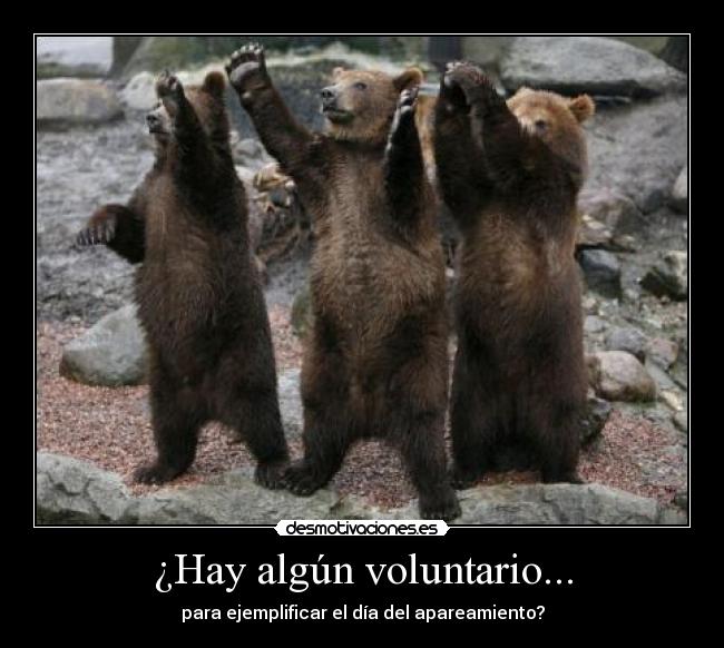 ¿Hay algún voluntario... -