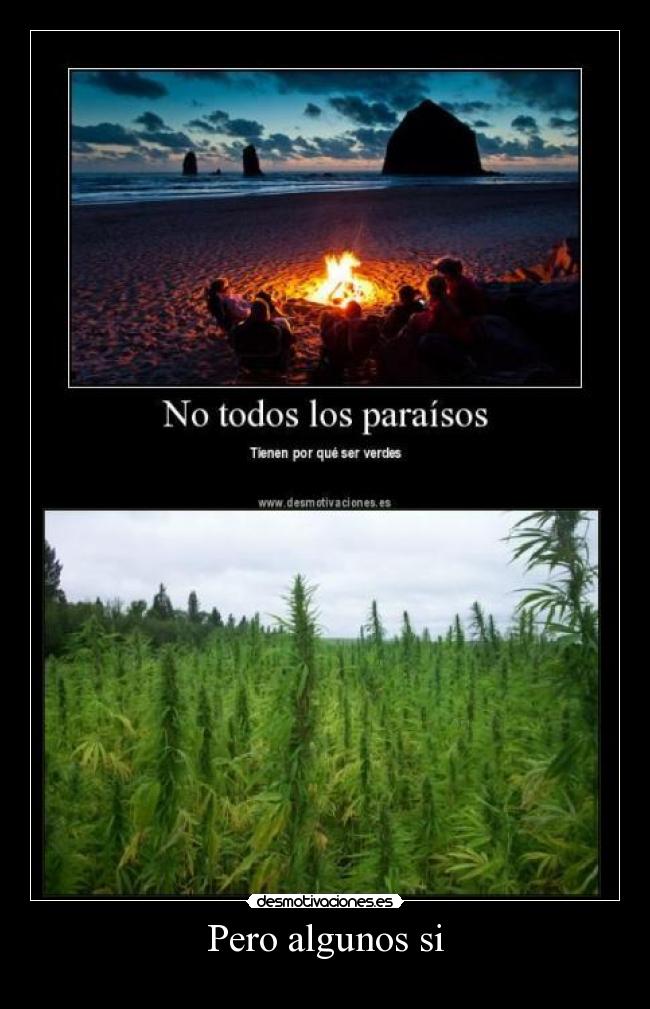 Pero algunos si - 