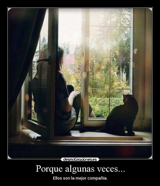 Porque algunas veces... - 
