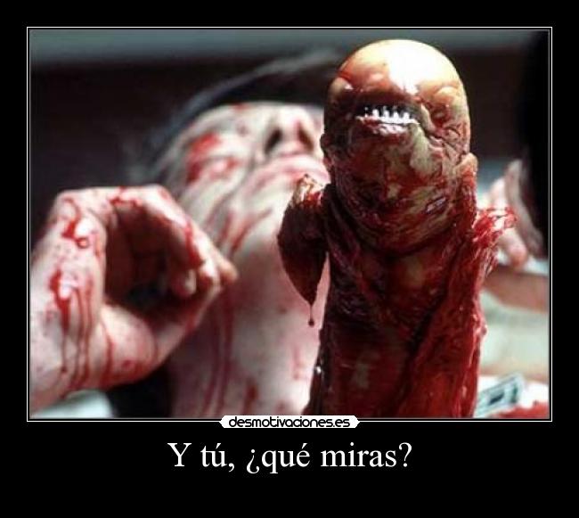 Y tú, ¿qué miras? - 