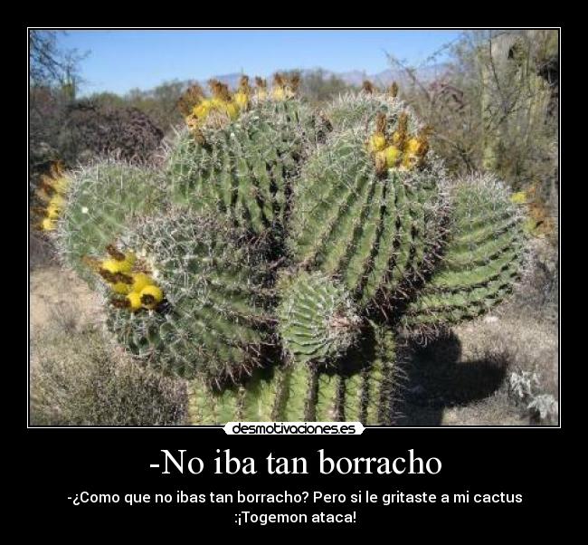 -No iba tan borracho - -¿Como que no ibas tan borracho? Pero si le gritaste a mi cactus :¡Togemon ataca!
