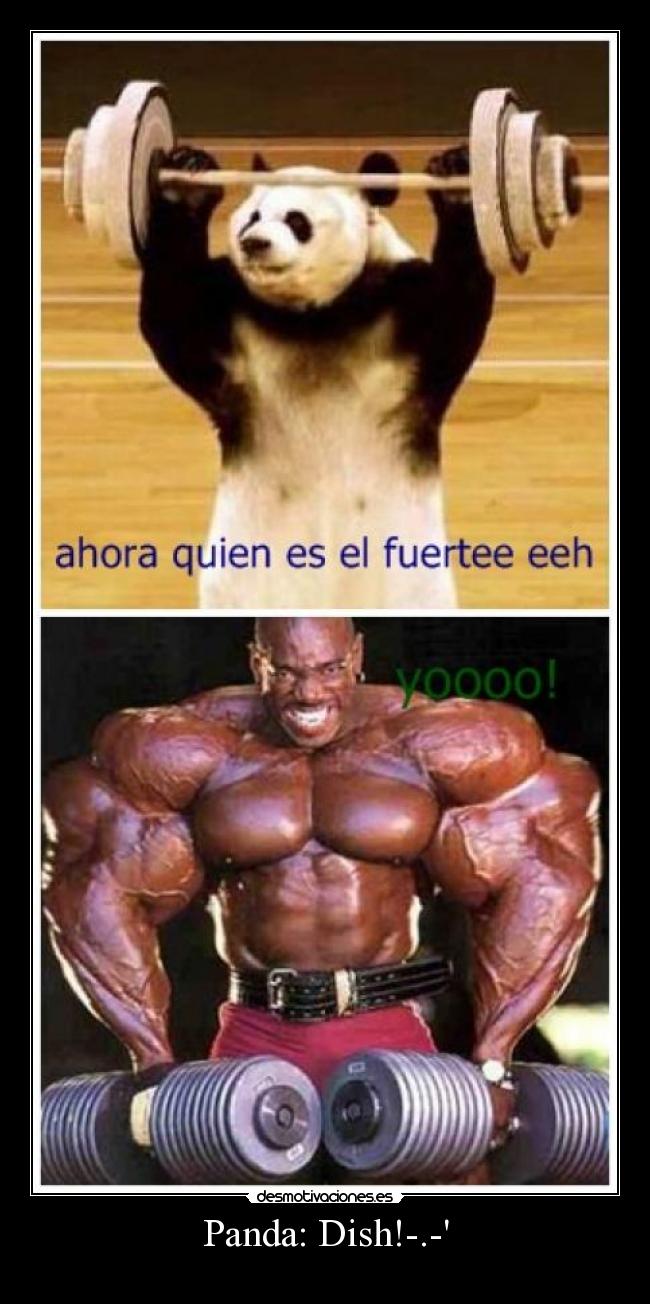 Panda: Dish!-.- - 