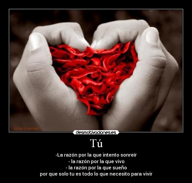 Tú - -La razón por la que intento sonreír
- la razón por la que vivo
- la razón por la que sueño
por que solo tu es todo lo que necesito para vivir