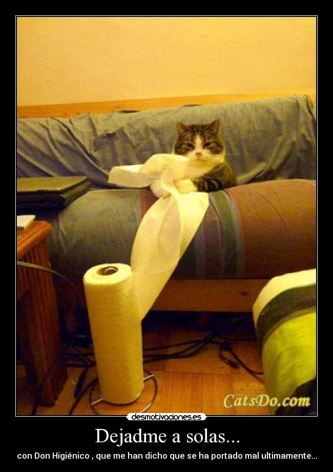 Dejadme a solas... - con Don Higiénico , que me han dicho que se ha portado mal ultimamente...