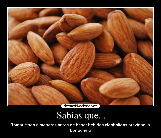 Sabias que... - Tomar cinco almendras antes de beber bebidas alcoholicas previene la borrachera