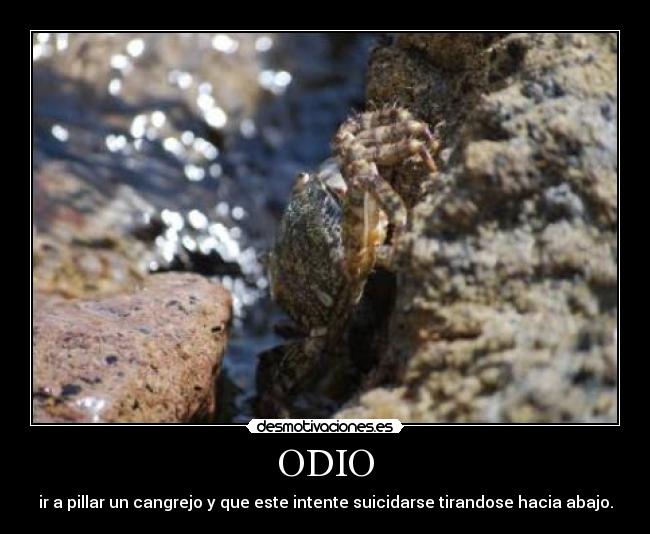 ODIO - 