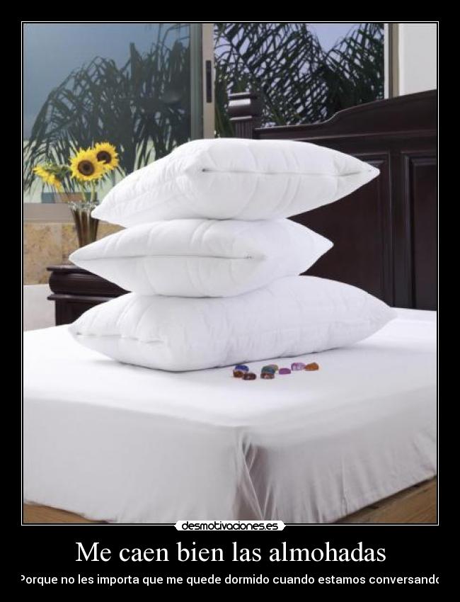 Me caen bien las almohadas -