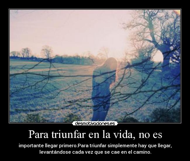 carteles vida para triunfar desmotivaciones