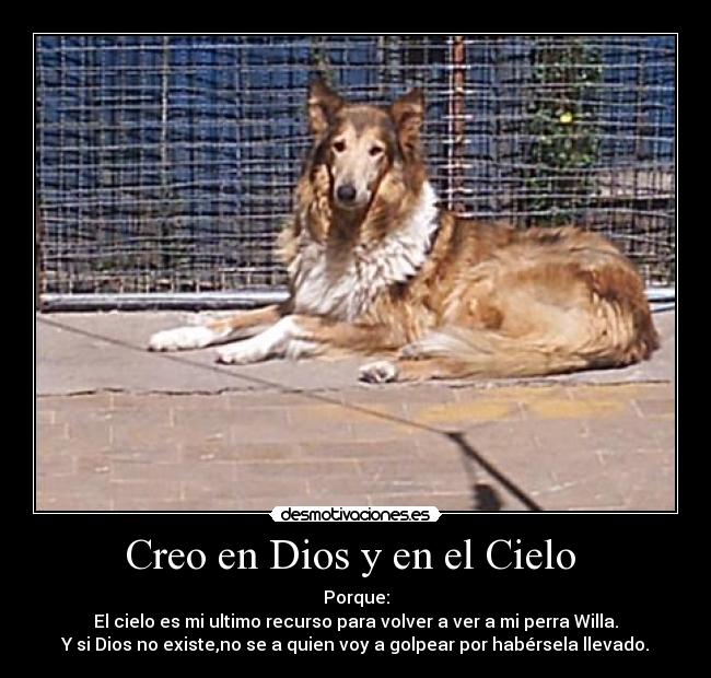 Creo en Dios y en el Cielo  - 