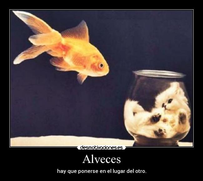 Alveces - hay que ponerse en el lugar del otro.