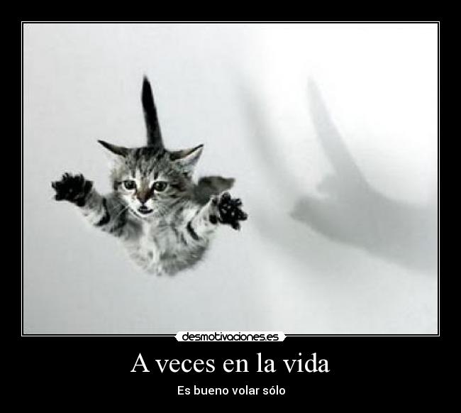 carteles vida volar soledad gato desmotivaciones