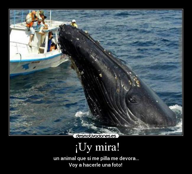 ¡Uy mira! -