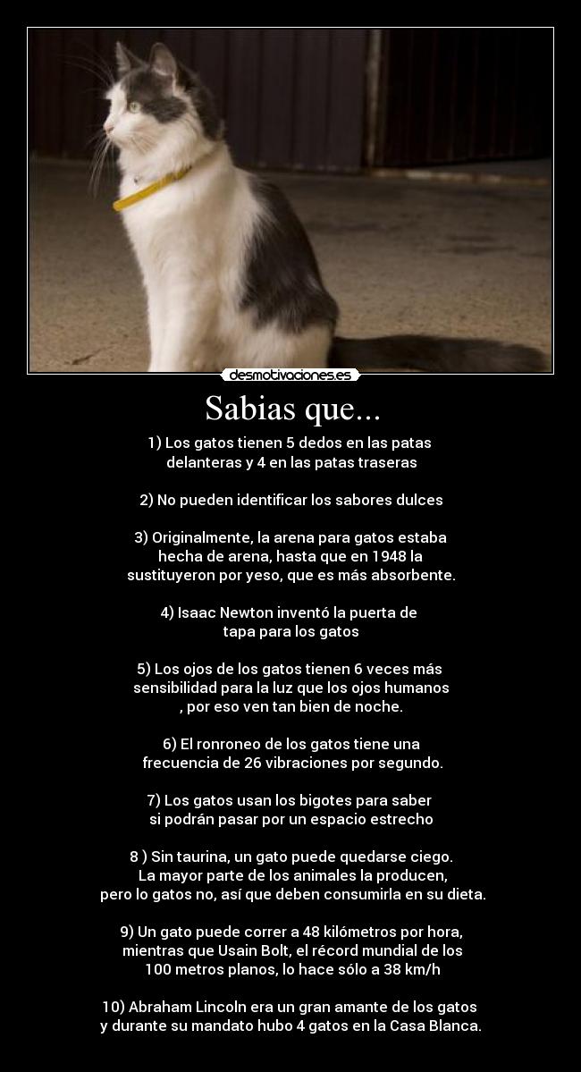 Sabias que... -