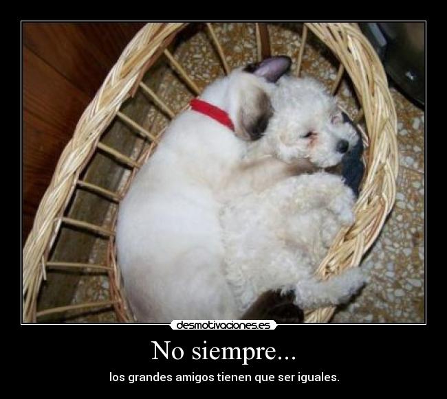 No siempre... - los grandes amigos tienen que ser iguales.