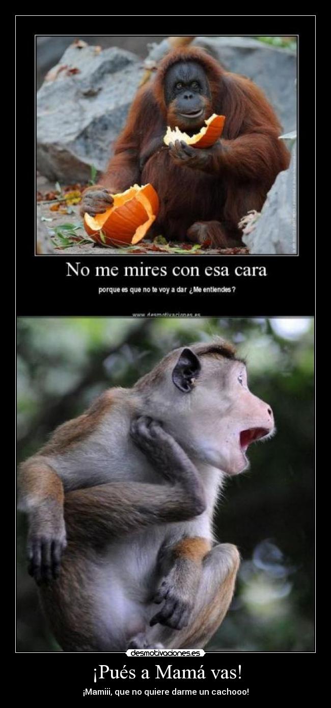 ¡Pués a Mamá vas! -