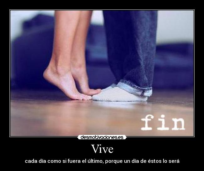 Vive - 
