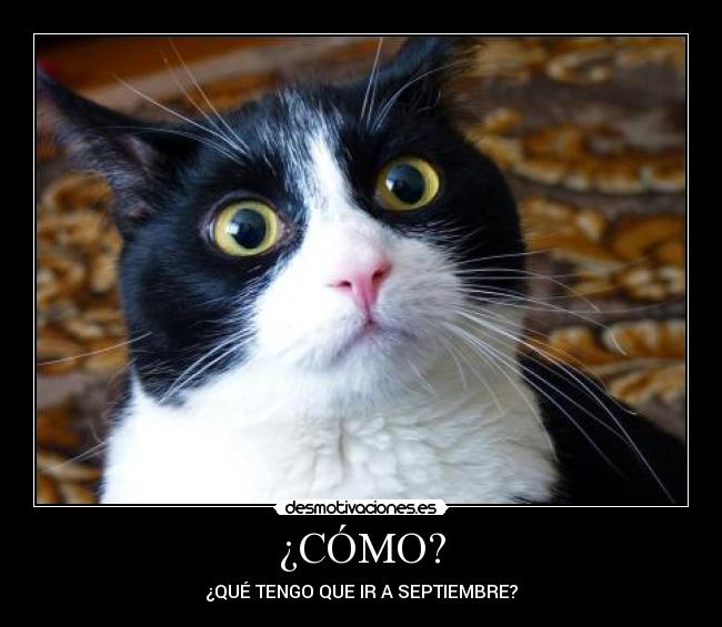 ¿CÓMO? - 