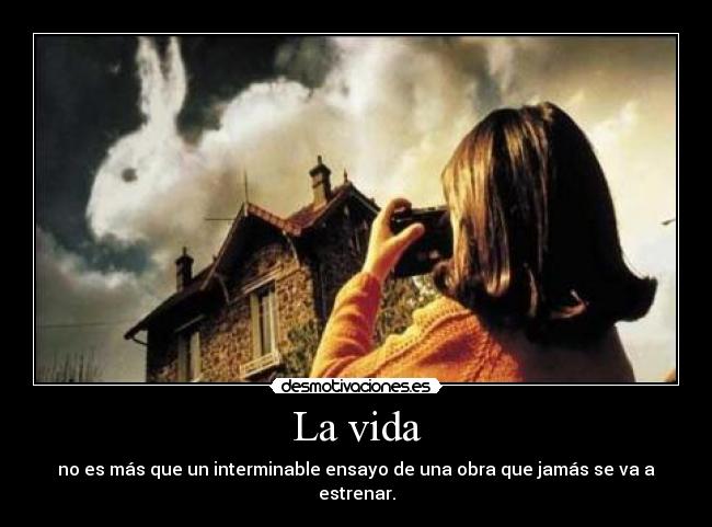 carteles vida ensayo desmotivaciones