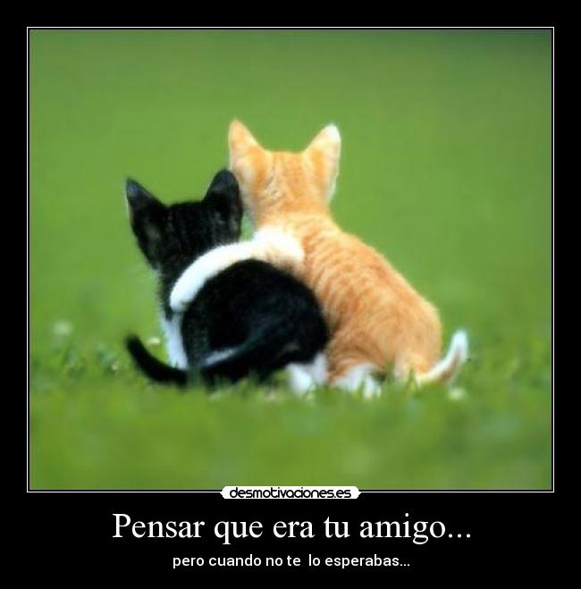 Pensar que era tu amigo... - pero cuando no te lo esperabas...