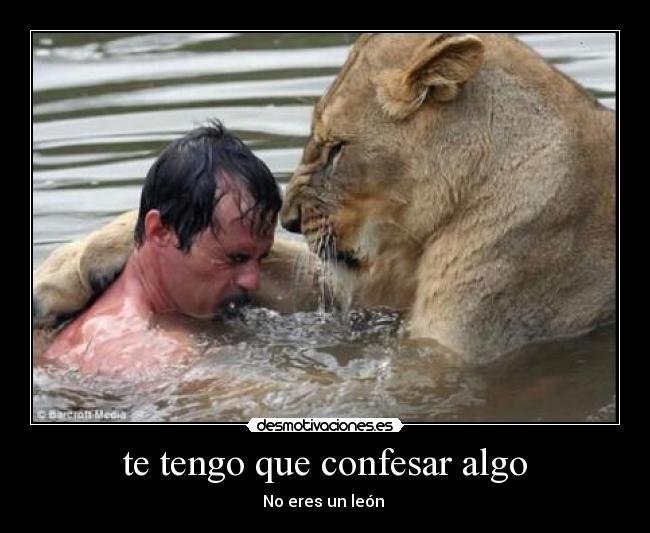 carteles confesar leon desmotivaciones