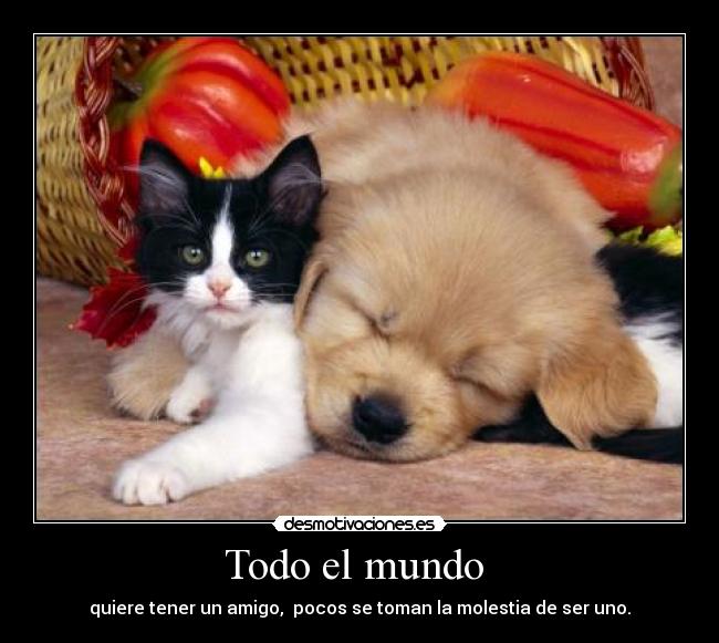 Todo el mundo - quiere tener un amigo, pocos se toman la molestia de ser uno.