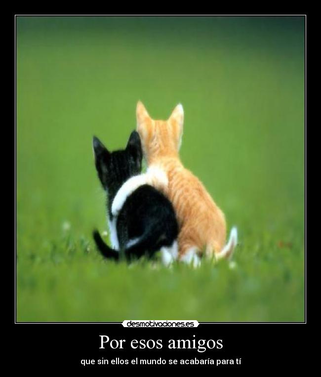 Por esos amigos - 
