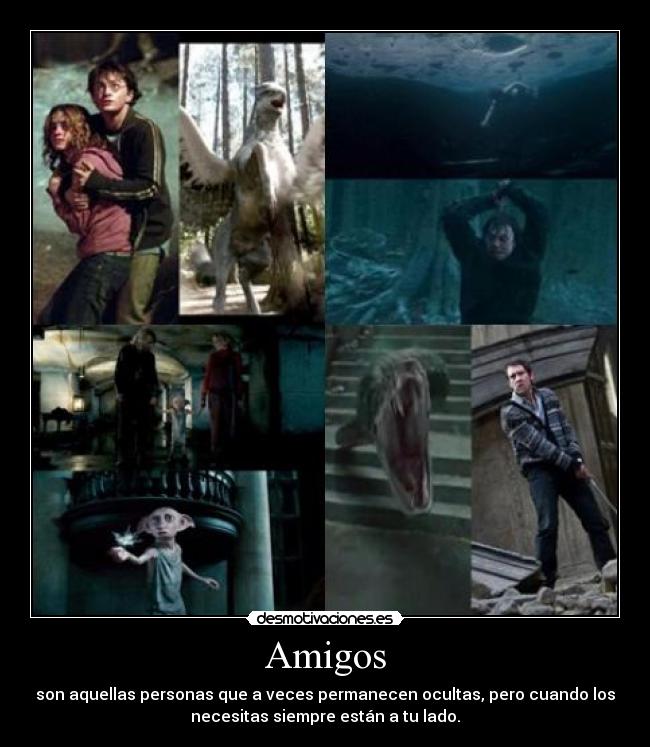 carteles amigos amigos personas ocultas necesitas lado siempre harry ron hermione dobby neville nagini desmotivaciones