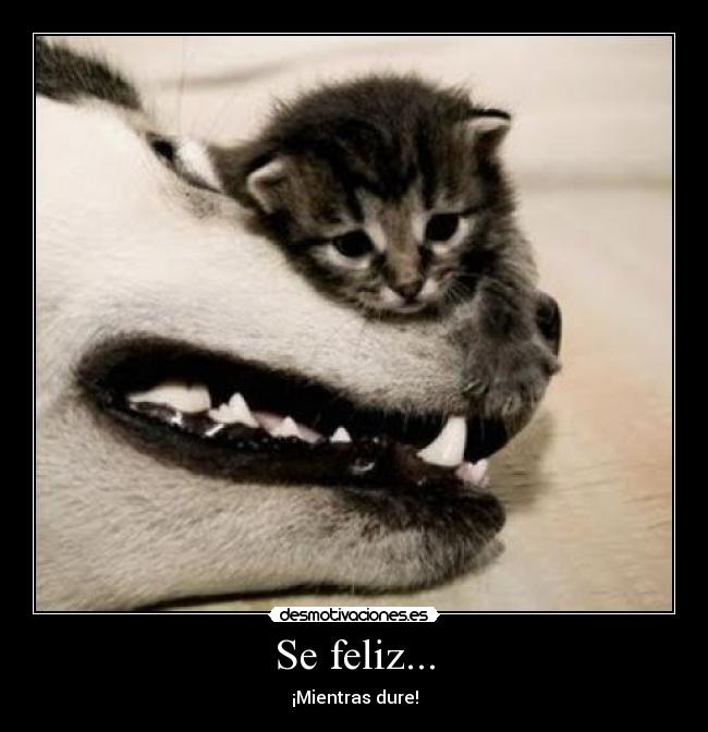 Se feliz... - ¡Mientras dure!