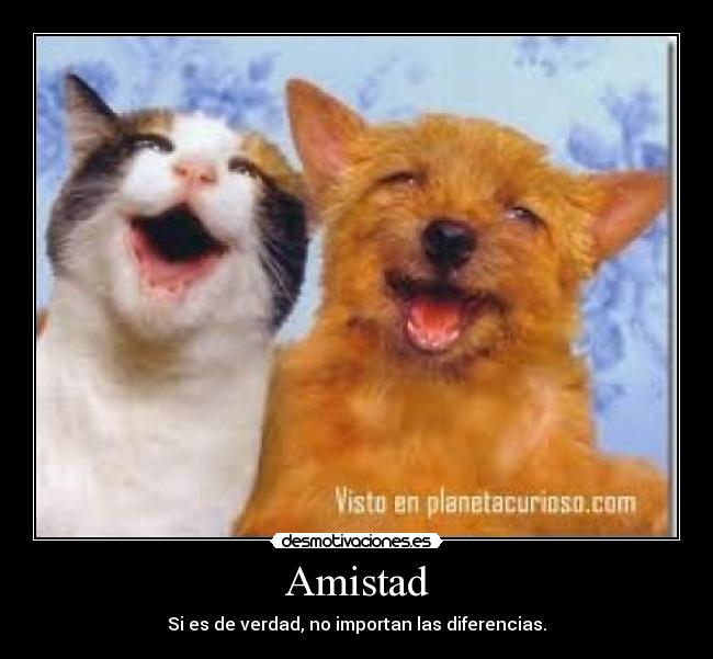 Amistad - Si es de verdad, no importan las diferencias.