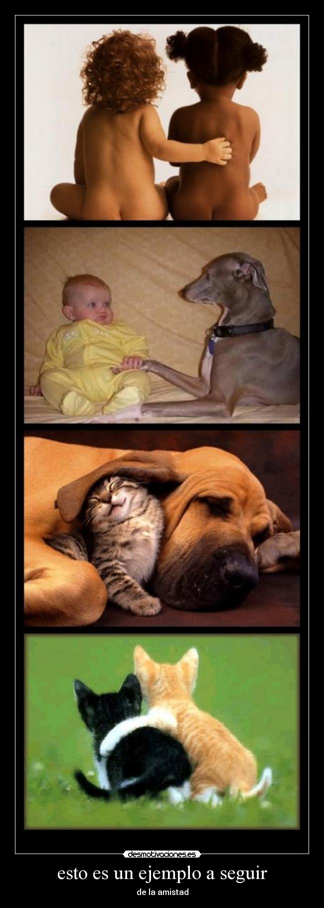 carteles benii desmotivaciones