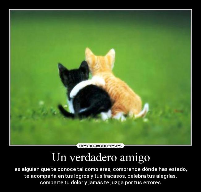 Un verdadero amigo - es alguien que te conoce tal como eres, comprende dónde has estado,
te acompaña en tus logros y tus fracasos, celebra tus alegrías,
comparte tu dolor y jamás te juzga por tus errores.