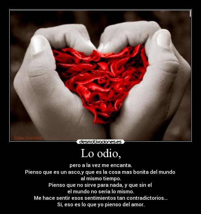 Lo odio, - pero a la vez me encanta.
Pienso que es un asco,y que es la cosa mas bonita del mundo
al mismo tiempo.
Pienso que no sirve para nada, y que sin el
el mundo no seria lo mismo.
Me hace sentir esos sentimientos tan contradictorios...
Sí, eso es lo que yo pienso del amor.