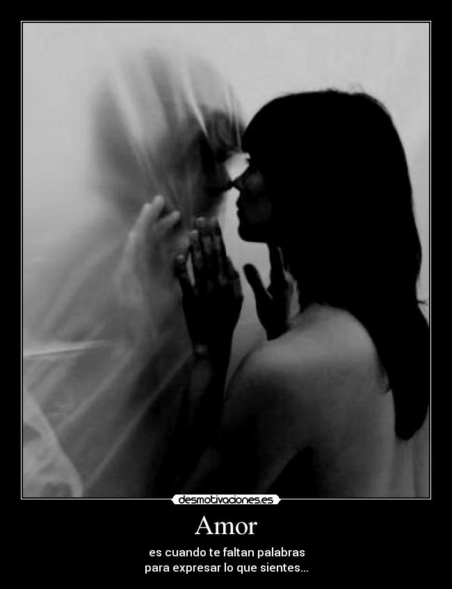 Amor -