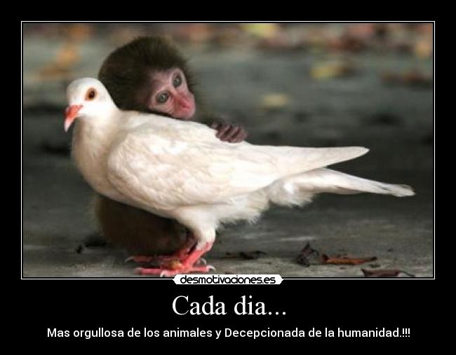 Cada dia... - 