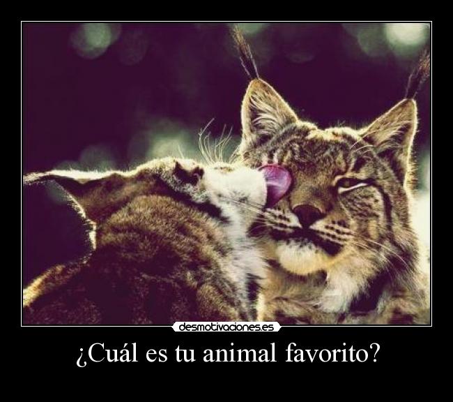 ¿Cuál es tu animal favorito? - 