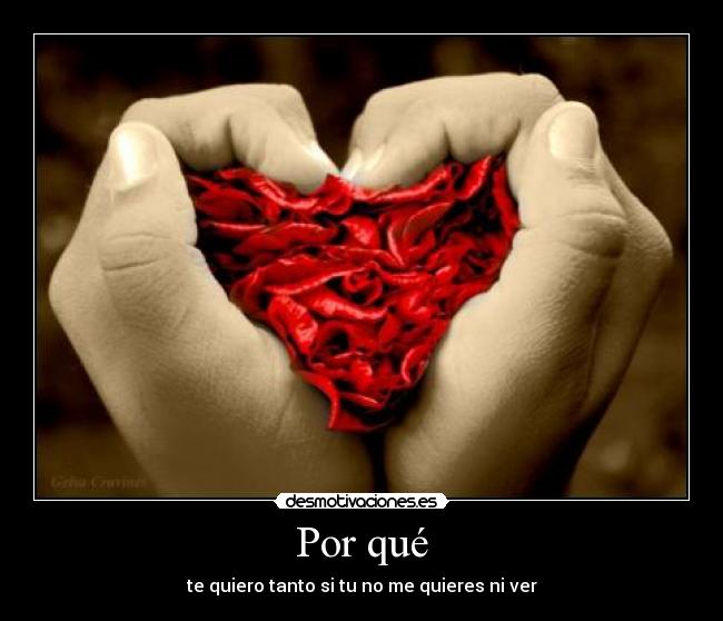 Por qué - te quiero tanto si tu no me quieres ni ver