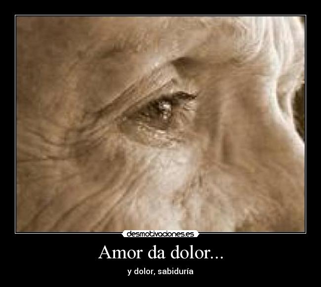 carteles amor dolor amor dolor sabiduria desmotivaciones