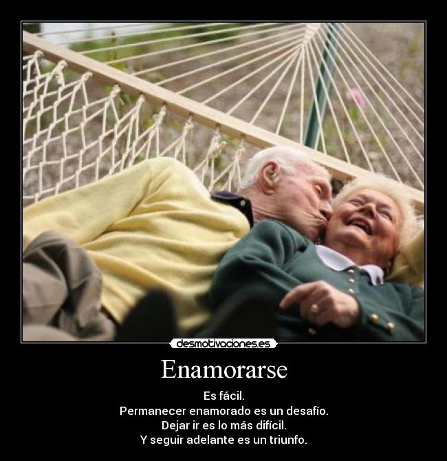 carteles dayana desmotivaciones