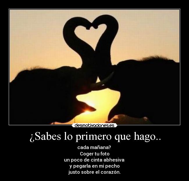 ¿Sabes lo primero que hago.. - cada mañana?
Coger tu foto
un poco de cinta abhesiva
y pegarla en mi pecho
justo sobre el corazón.