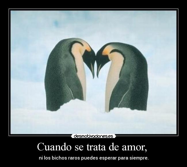 Cuando se trata de amor,  - 