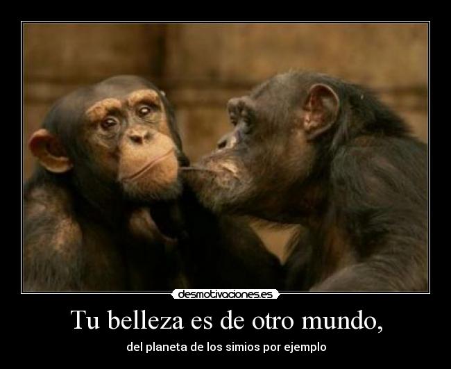 Tu belleza es de otro mundo, - del planeta de los simios por ejemplo