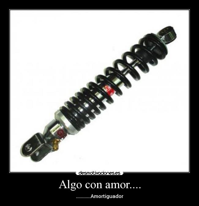 Algo con amor.... - ............Amortiguador