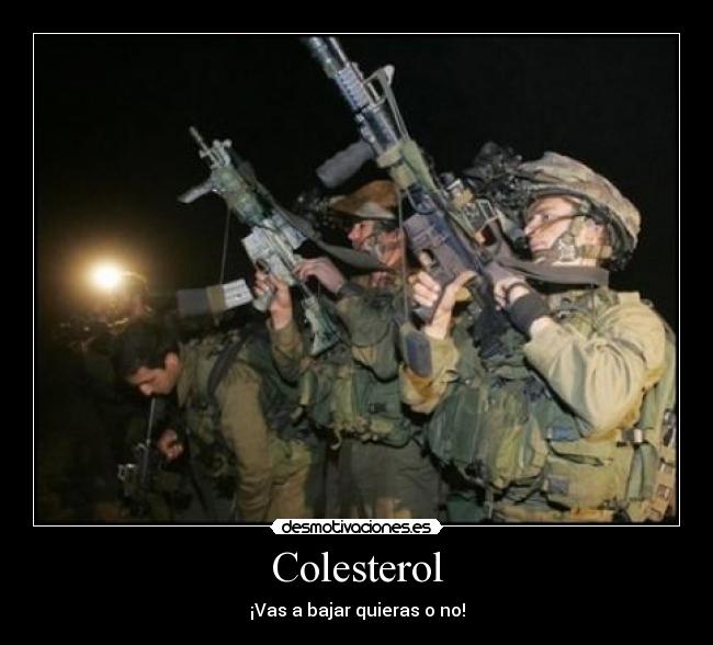 Colesterol - 